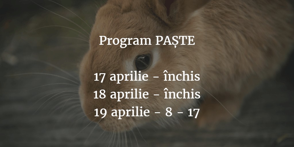 CAR INVATAMANT Program Paste