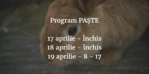 CAR INVATAMANT Program Paste