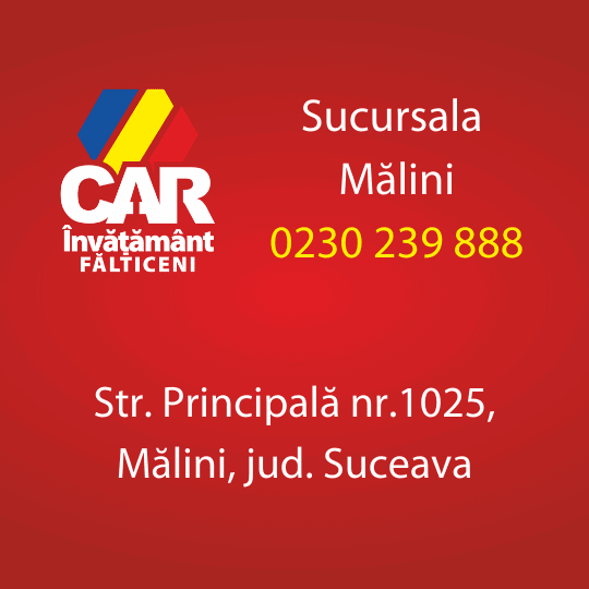 malini car invatamant falticeni