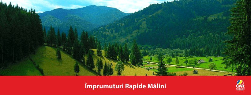 imprumuturi rapide malini